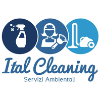 Ital cleaning servizi ambientali srl