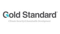 The gold standard foundation