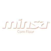 Minsa corporation