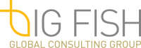 Big Fish Global Consulting Group