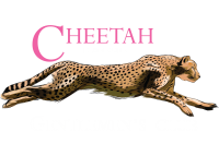 Cheetah gentlemen's club