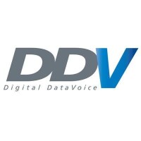 Digital datavoice
