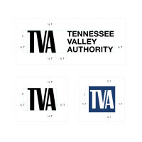 Tennessee valley financial holdings inc (tvlf)