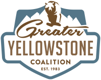 Greater yellowstone coalition