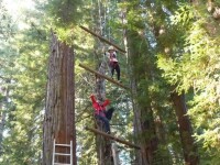 Challenge Sonoma, Adventure Ropes Course,