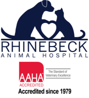 Rhinebeck animal hospital