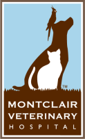 Montclair veterinary