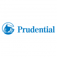 Prudential metrix