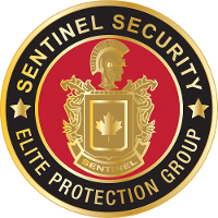 Sentinel security services