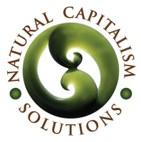 Natural capitalism solutions