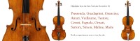 Tarisio fine instruments & bows