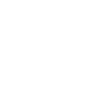 Aden business school
