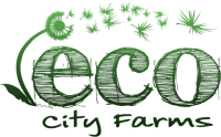 Eco city farms