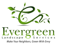 Evergreen landscaping