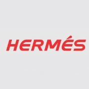 Hermes networks inc
