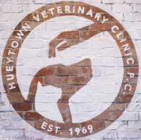 Hueytown veterinary clinic pa