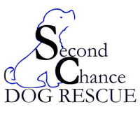 Second chance dog rescue