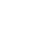 Florida cup