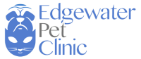 Animal clinic of edgewater