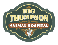 Big thompson animal hospital