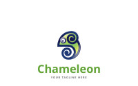 Chameleon group