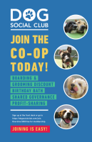 The dog social club cooperative
