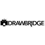 Drawbridge consulting and search firm