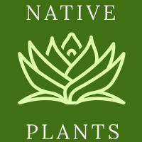 High desert native plants, llc