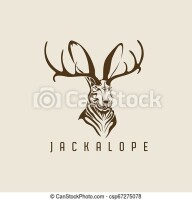 Jackalope arts