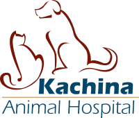 Kachina animal hospital