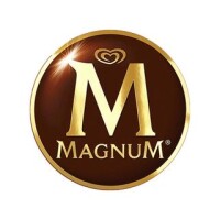 Magnum global media
