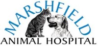 Marshfield animal hospital, inc.