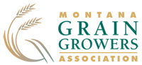 Montana grain growers assn