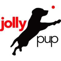 Jolly pup