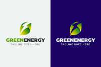 Green energy advisor
