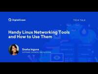 Lnx - linux & networking expert