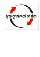 Synergy network solutions