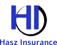 Hasz companies