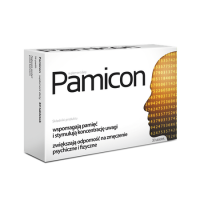 Pamicon
