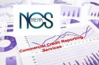 Al- nabaa commercial services (ncs collection)