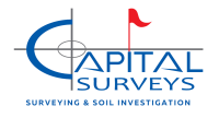 Capital surveys