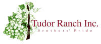 Tudor ranch inc