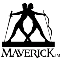 Mavericks founders