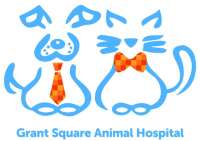 Grant square animal hospital