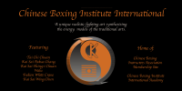 Chinese boxing institute