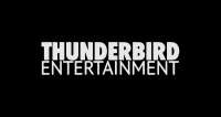 Thunderbird group - tbg