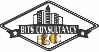 BITS Consulting LLC