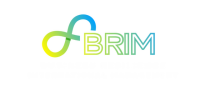 Br-i.com business resilience incorporated