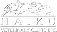 Haiku veterinary clinic inc