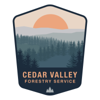 Cedar valley forest